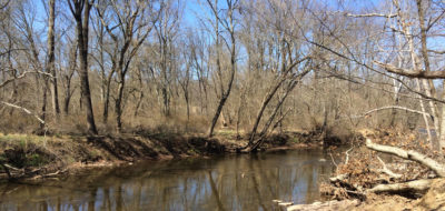 Laurie Chauncey Trail