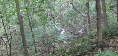 Musconetcong Gorge Preserve