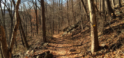 Baldpate Mtn: Switchback Trail