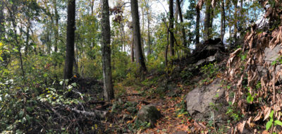 Baldpate Mtn: Overview and Summit Trail