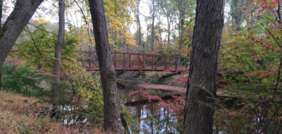 Greenway Meadows / Stony Brook Trail