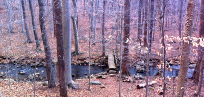 NJ Brigade Trail at Jockey Hollow