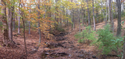 Dry Run Creek / Rockhopper Trails