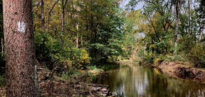 Jacobs Creek Trail