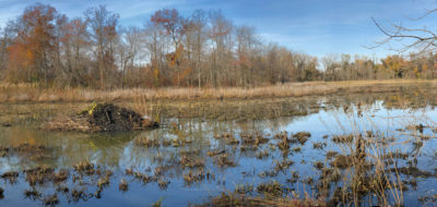 Abbott Marshlands: John A. Roebling Memorial Park