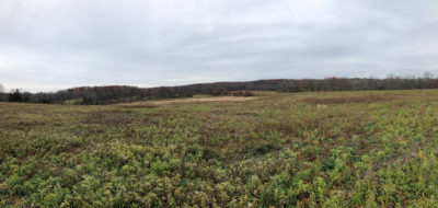 Griggstown Native Grassland Preserve