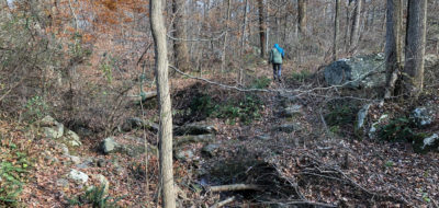 Omick Woods at Rocktown Preserve