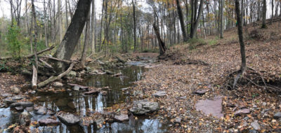 Baldpate Mtn: Eastern Trails